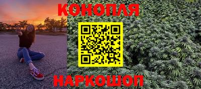 крисы Малгобек