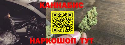 крисы Малгобек