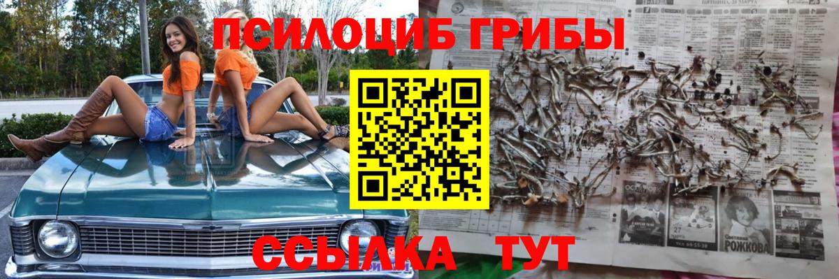 Спасск-Дальний  Псилоцибиновые грибы Magic Shrooms  даркнет сайт  Вход с VPN  Галлюциногенные грибы Cubensis 